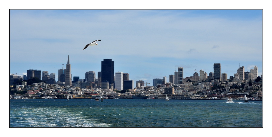 DSC_0059.jpg