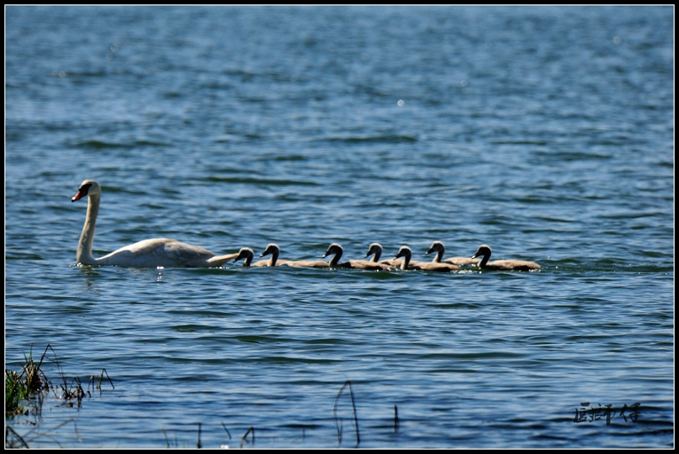 DSC_1783.jpg