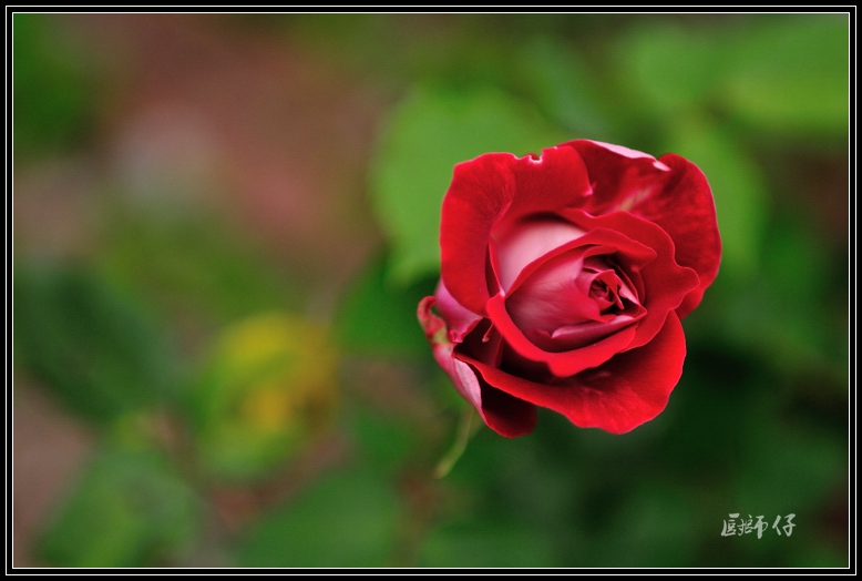 DSC_1653.jpg
