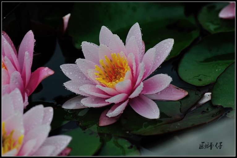 DSC_1461.jpg