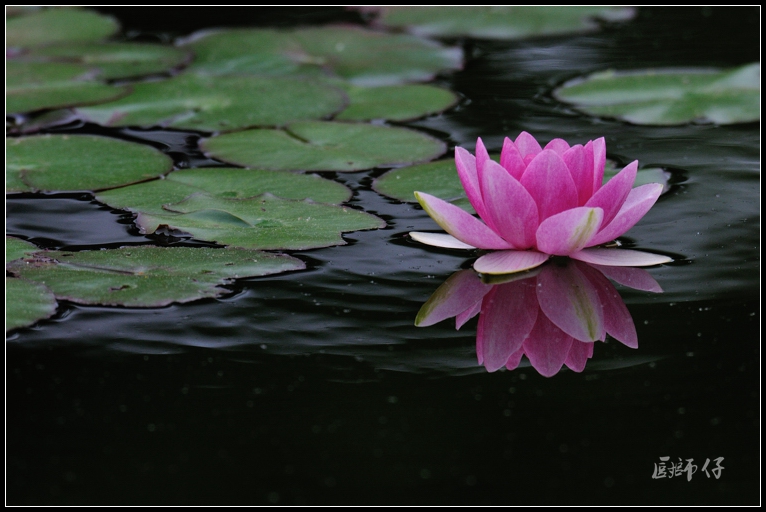 DSC_1292.jpg