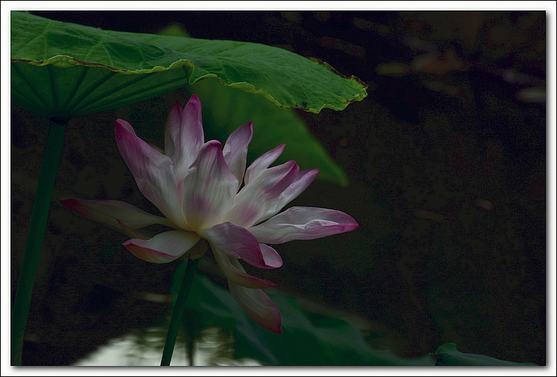 DSC_8138.JPG