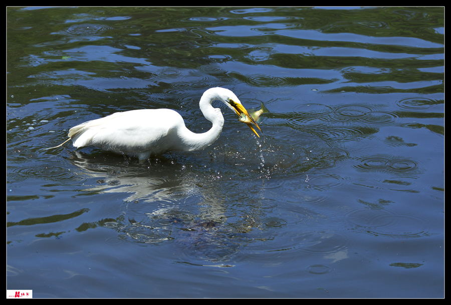 DSC_2292_.jpg