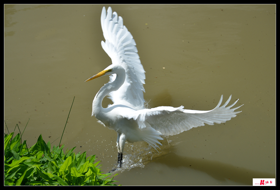 DSC_3709 __.jpg