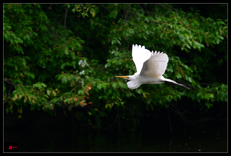 DSC_1129_.jpg