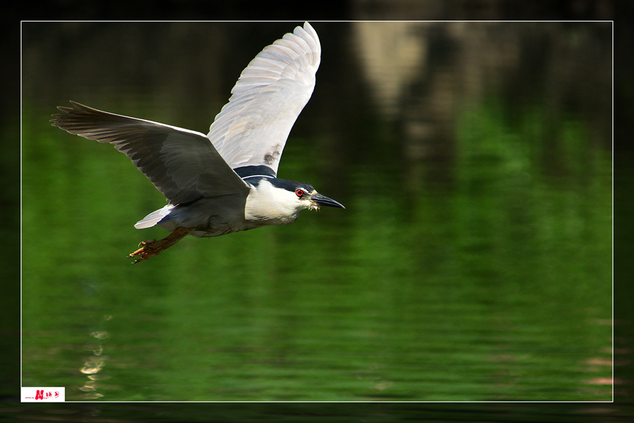 DSC_2548__.jpg