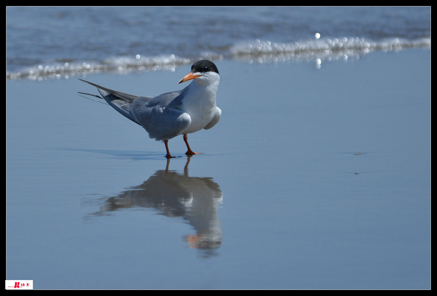 DSC_3877_.jpg