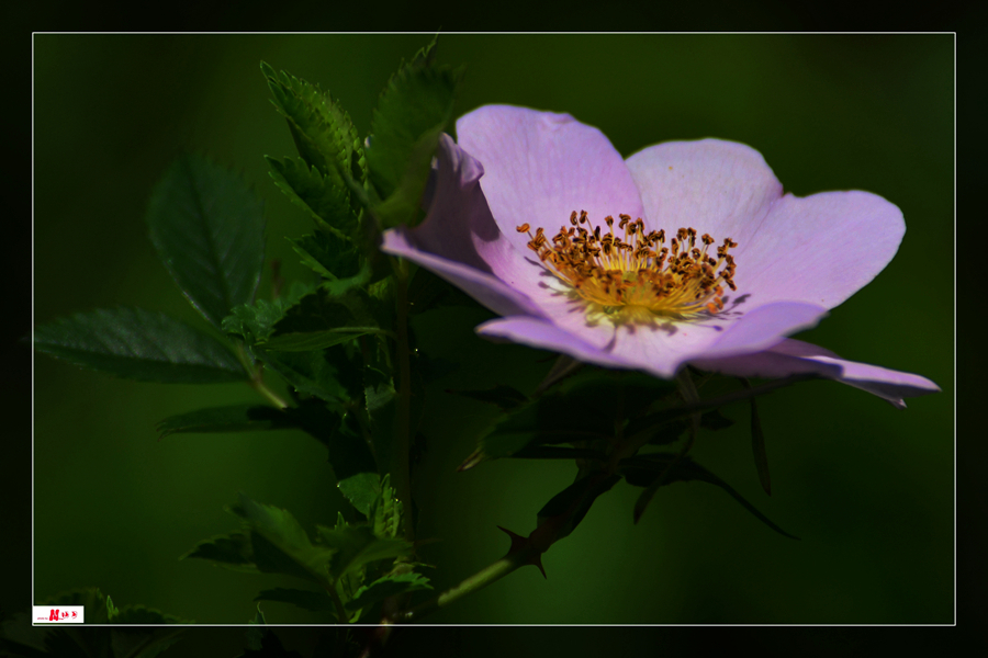 DSC_2389_.jpg