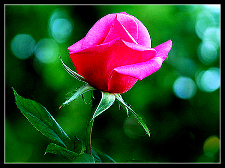 DSC_0006__.jpg
