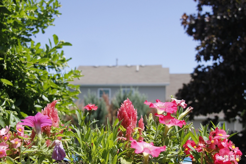 _MG_0006.JPG