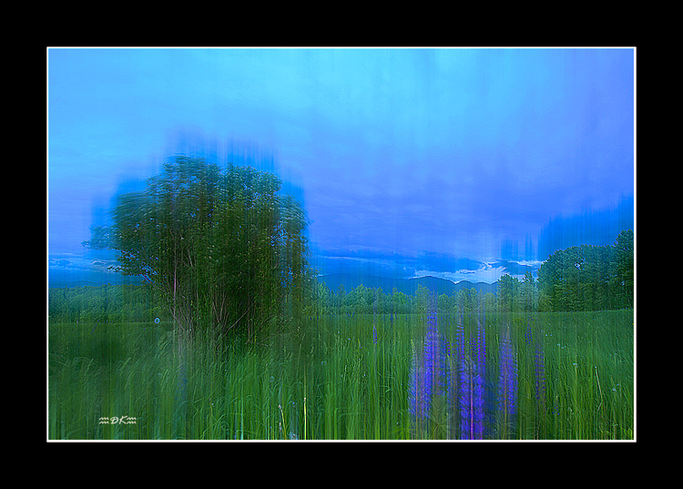 DSC_6616C.jpg