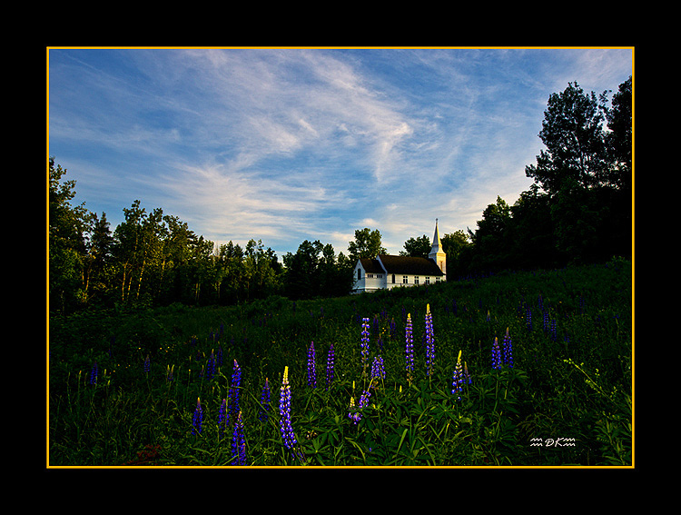DSC_7001C.jpg