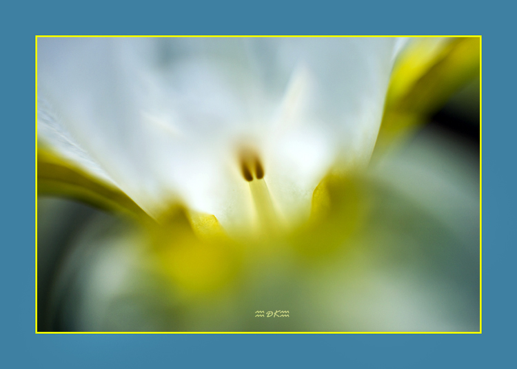 DSC_6421C1.jpg