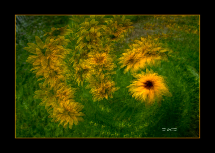 DSC_7243C.jpg