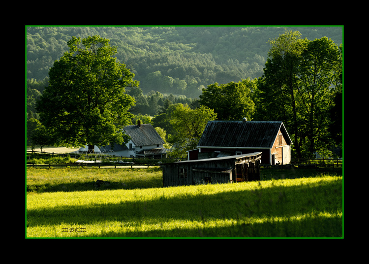 DSC_7171C.jpg