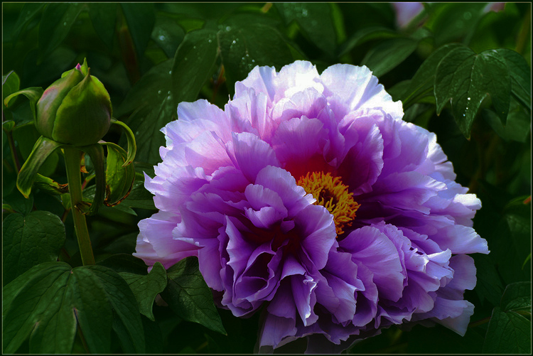 DSC_0149__.jpg