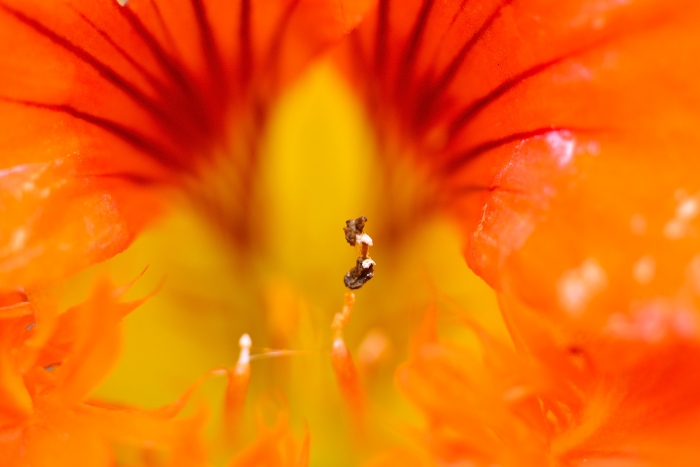_DSC6008_1_01.JPG