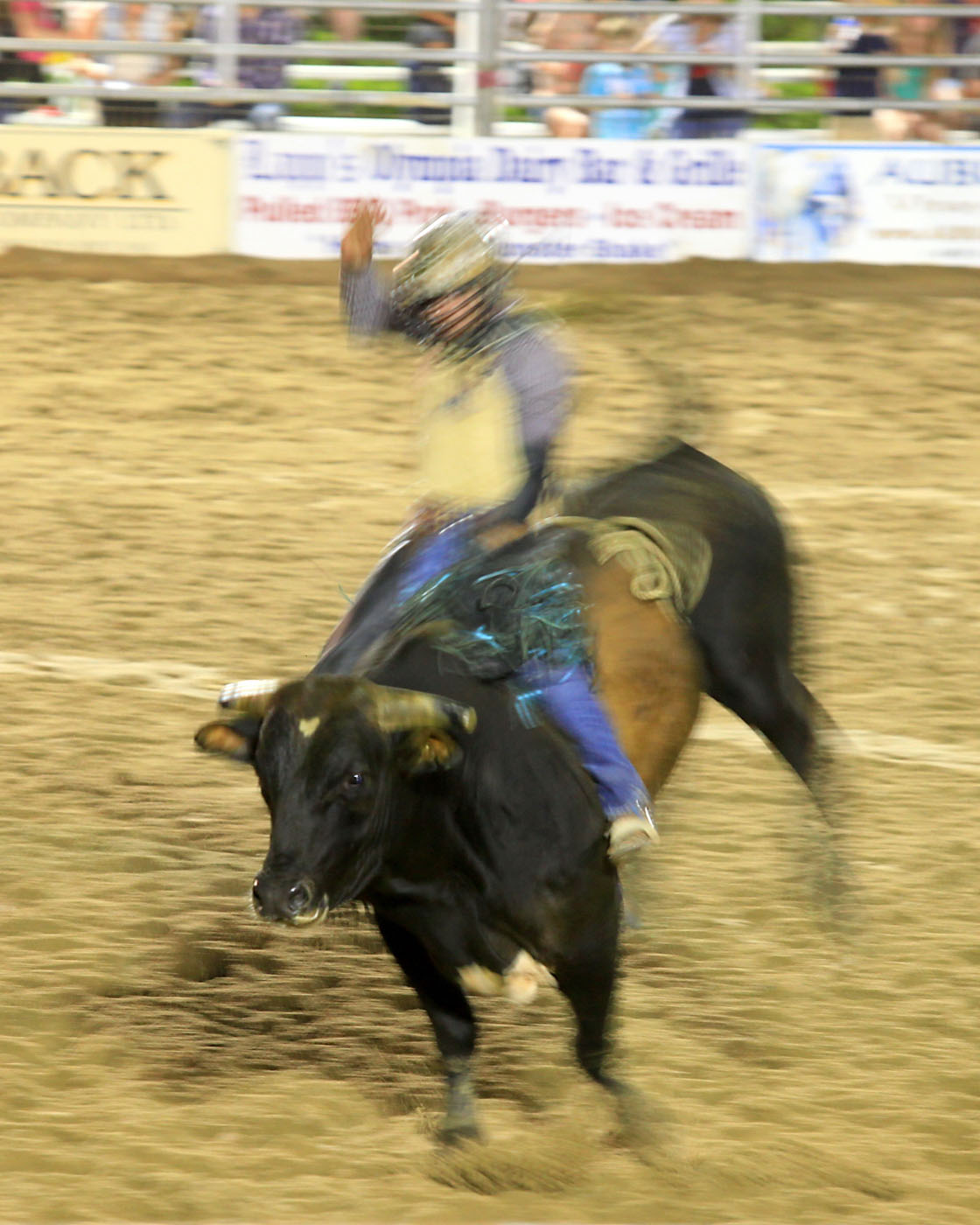 IMG_0912f1.jpg