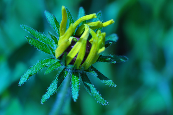 DSC_0556_.jpg