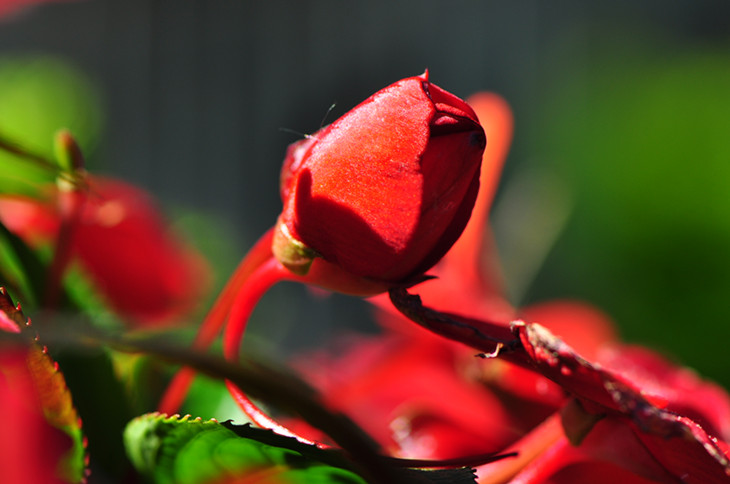 DSC_0011_.jpg