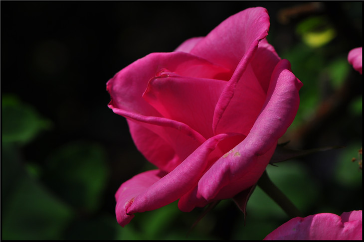 DSC_0182.jpg