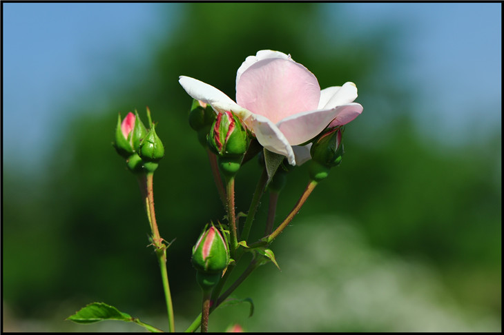 DSC_0304.jpg