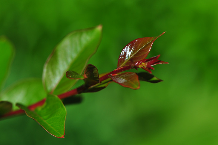 DSC_0023_.jpg
