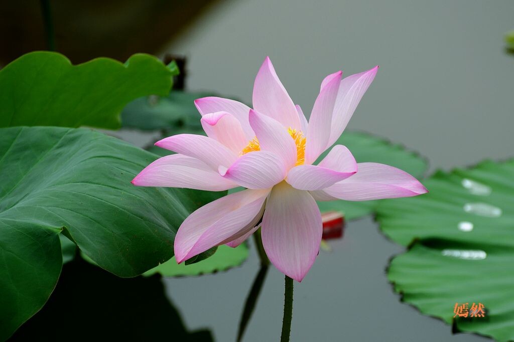 QQͼƬ20140608135521.jpg