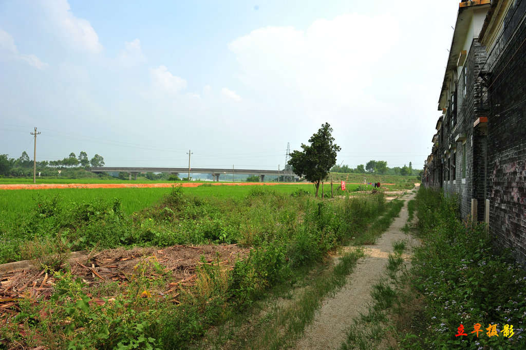 DSC_5170.jpg