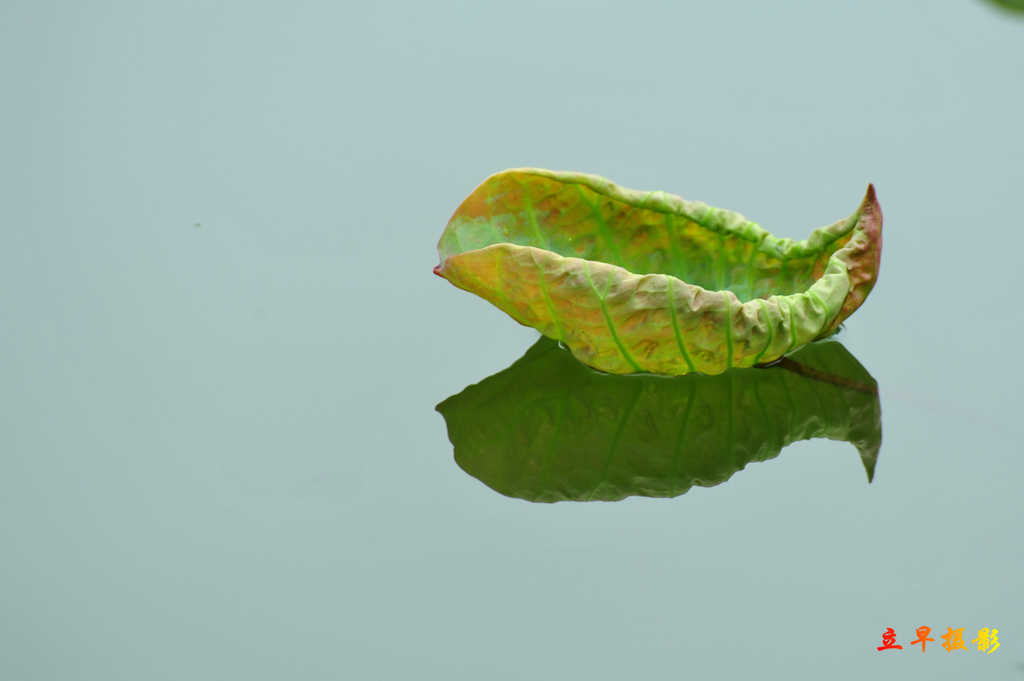 DSC_6053.JPG