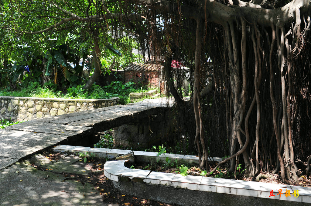 DSC_4450.jpg