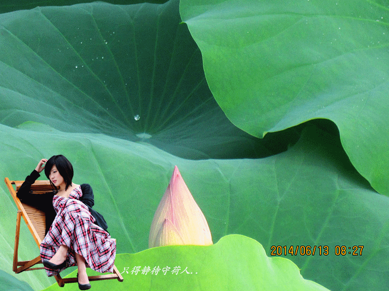 IMG_3770__.gif