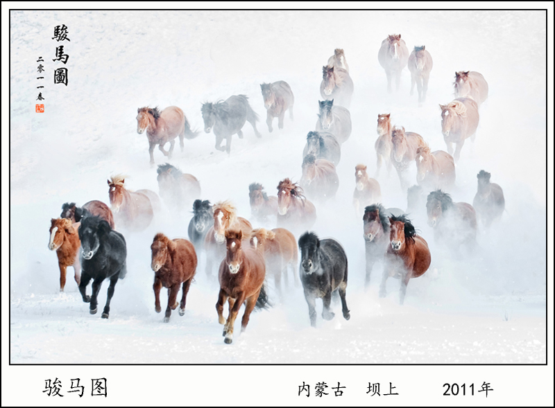 2011 ͼ ɹŰ.jpg