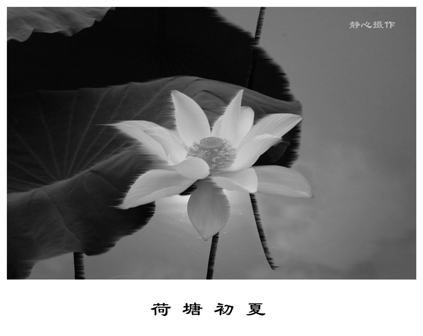 ī 048___.jpg