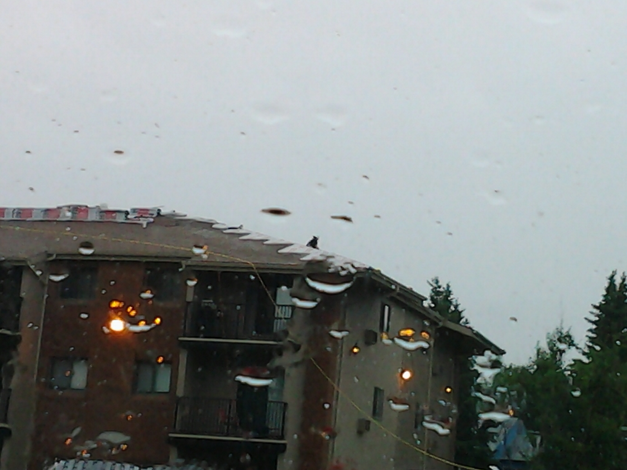 2013-06-13 11.54.05.jpg