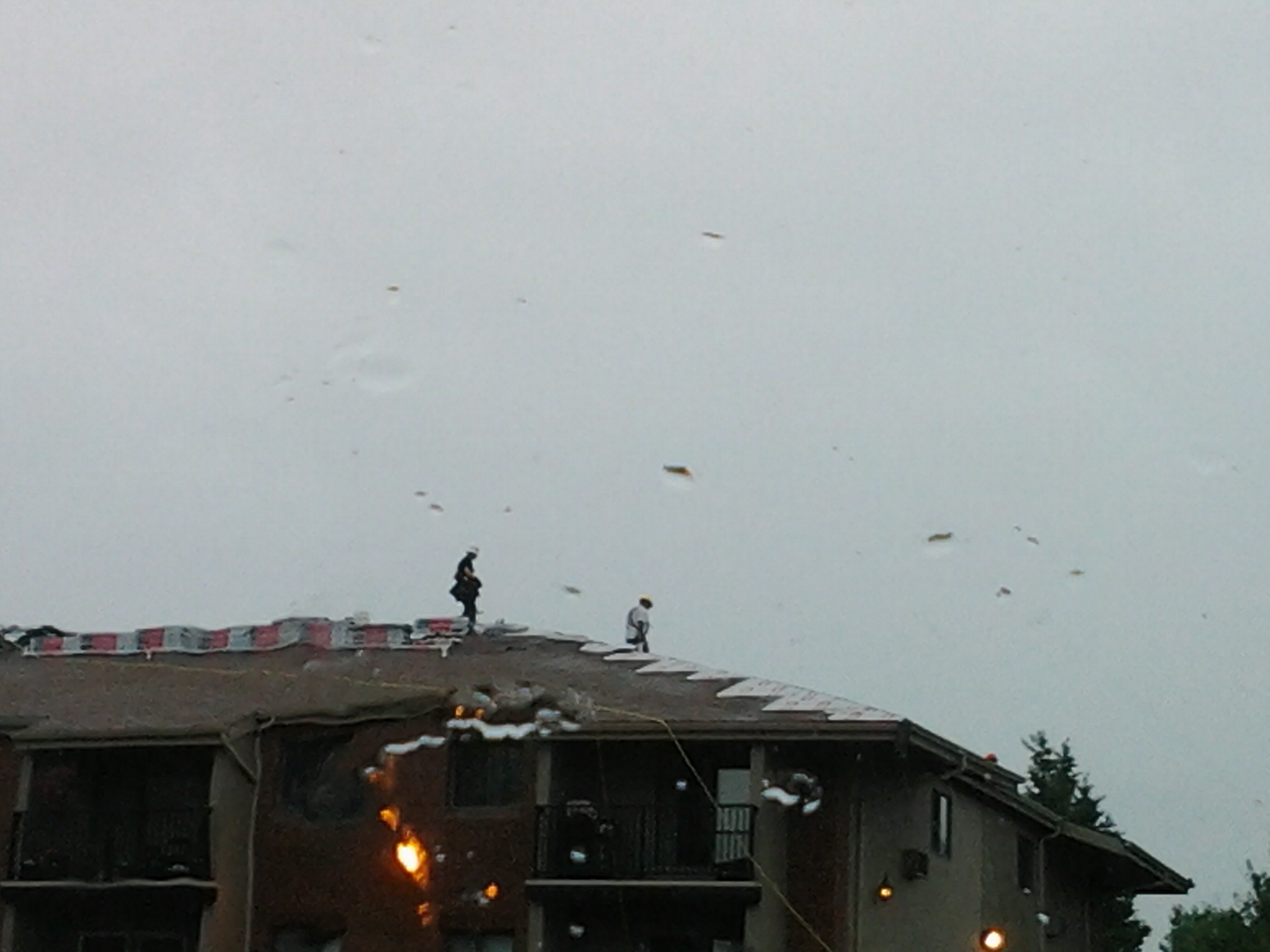 2013-06-13 11.53.58.jpg