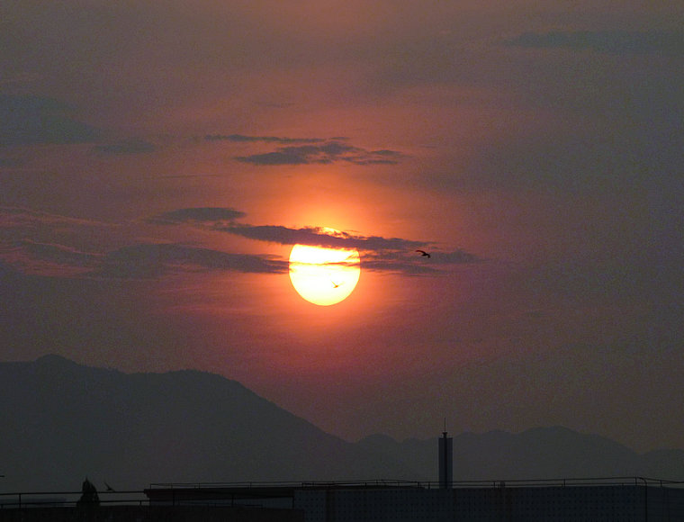 P1040888.JPG