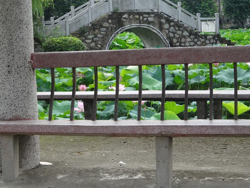 170.jpg