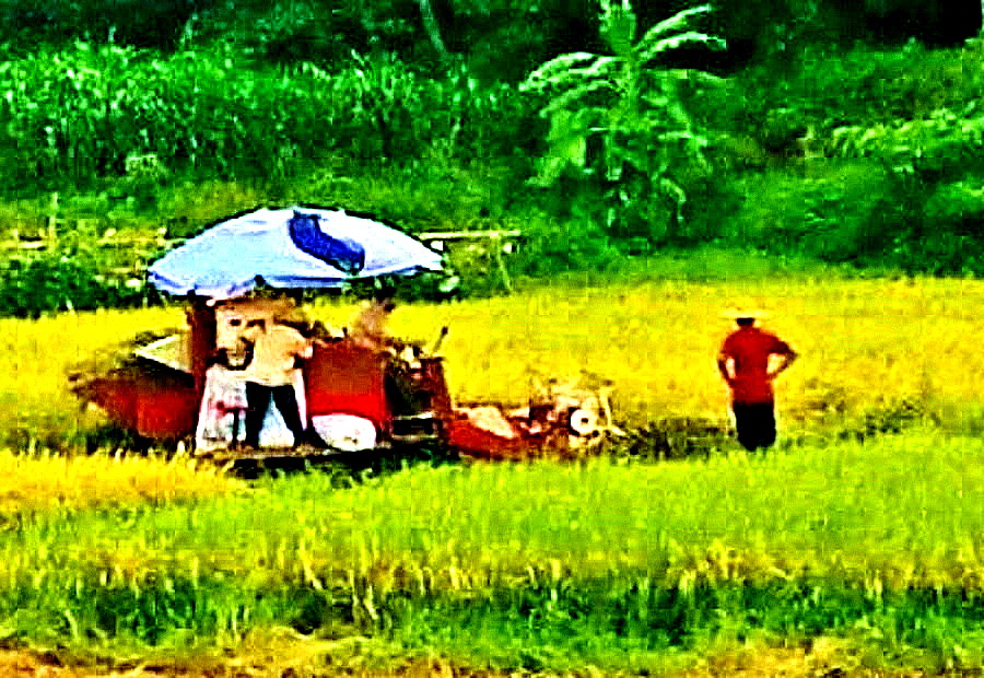 20140627_142650 -  - _1.jpg
