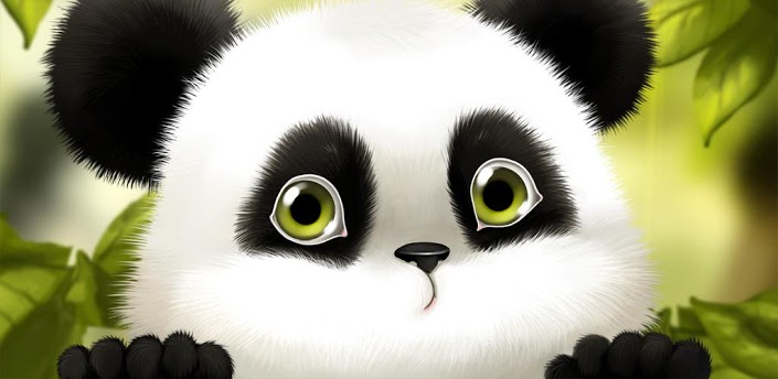 banner.png
