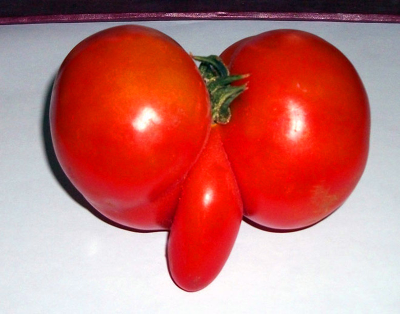 2011121415317693_.jpg