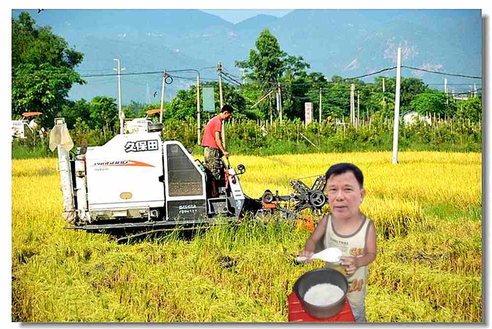 t1.jpg
