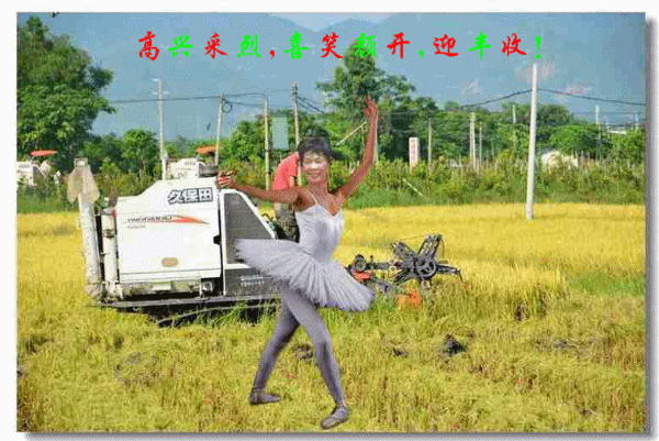 s4.gif