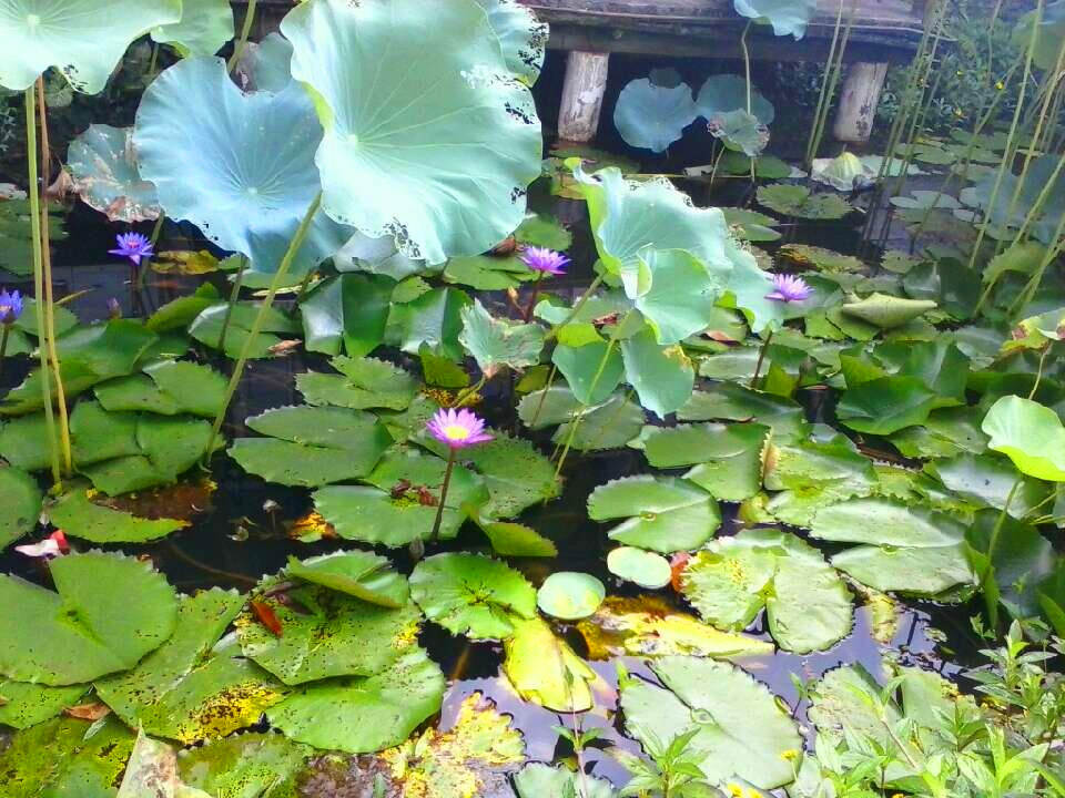 20140630233212.jpg