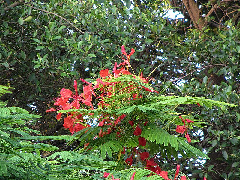 IMG_4240.JPG