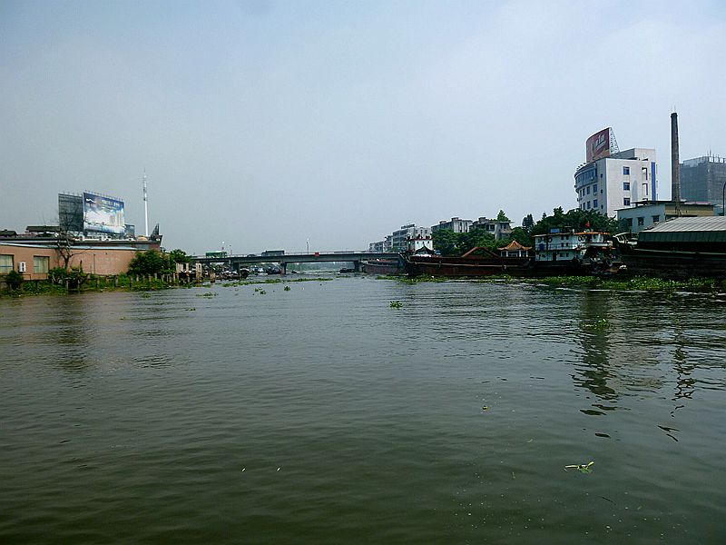 IMG_2834.jpg