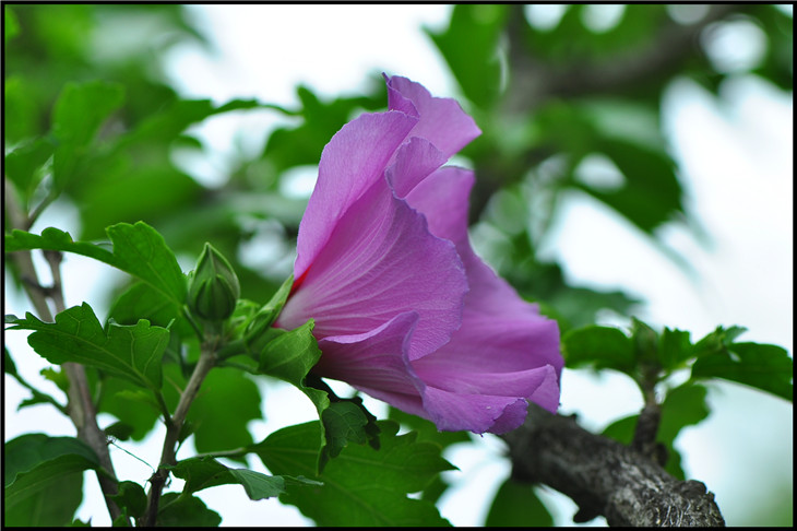 DSC_0341.jpg