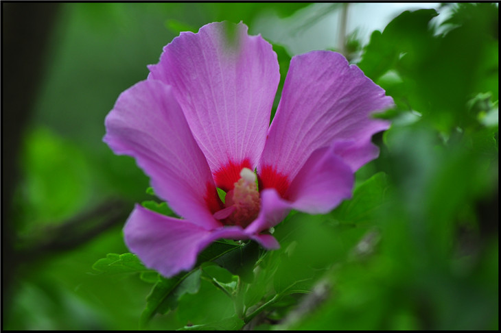 DSC_0340.jpg