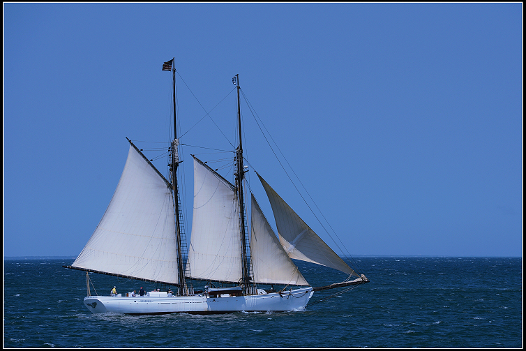 DSC_4197.JPG