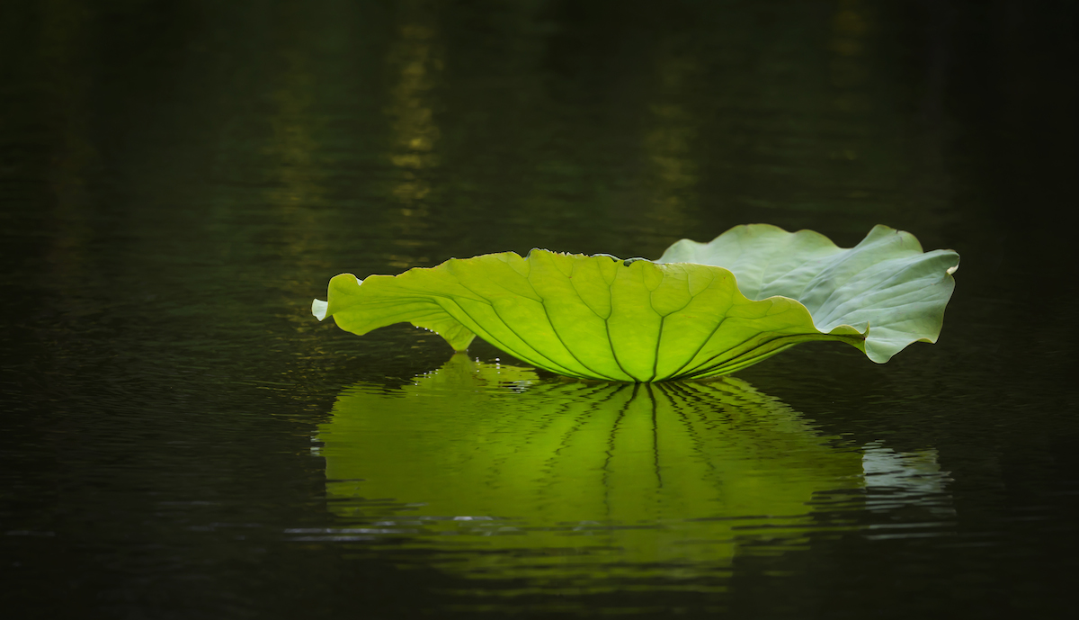 DSC_8169.jpg